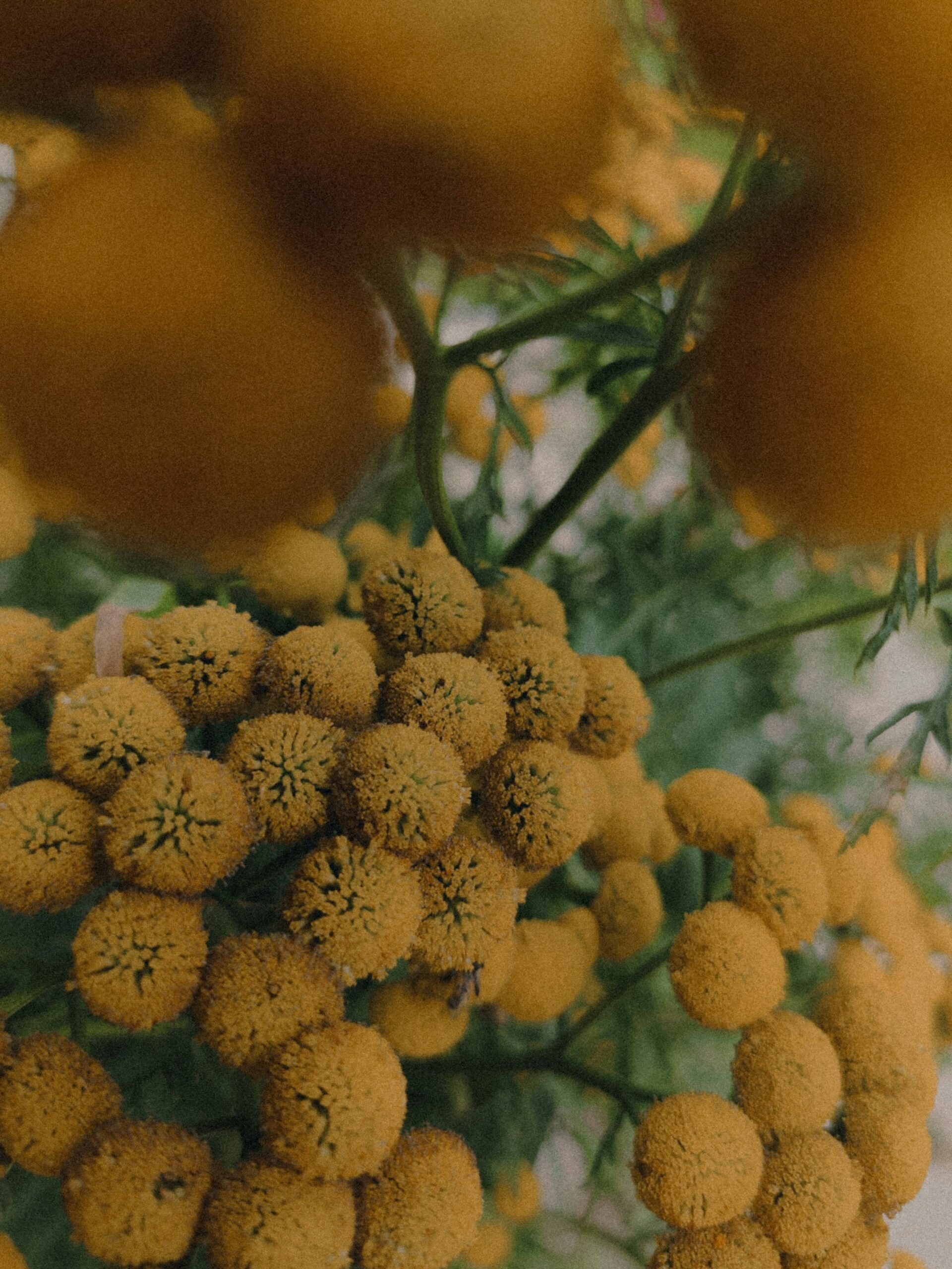 Pellentesque elit neque, eleifend vitae massa id, egestas pretium lectus.