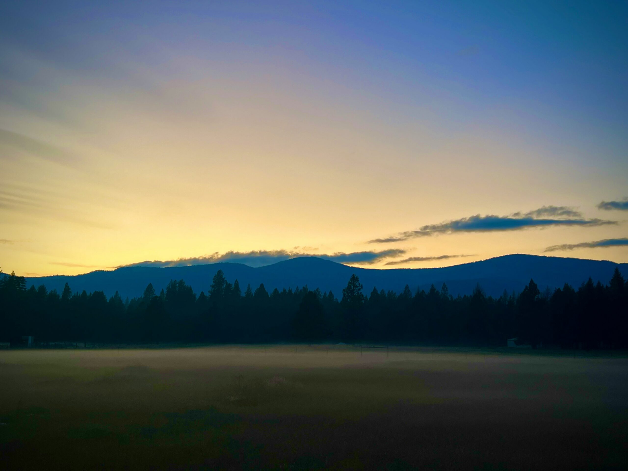 Ut ultricies ex at erat tincidunt rhoncus.